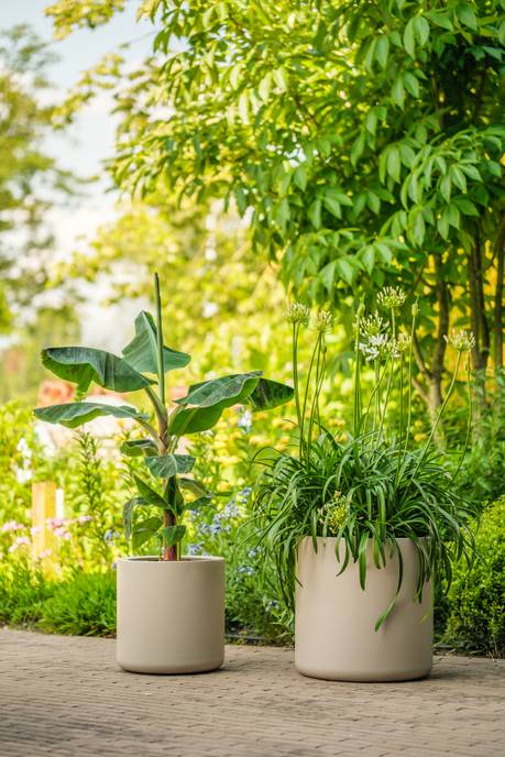 pure cilinder wheels 40 balanced beige